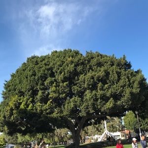 Meet your Posher, Maya